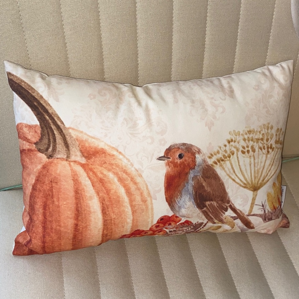 NWOT LOVING KINDNESS Autumn Pumpkin & Robin Accent Pillow